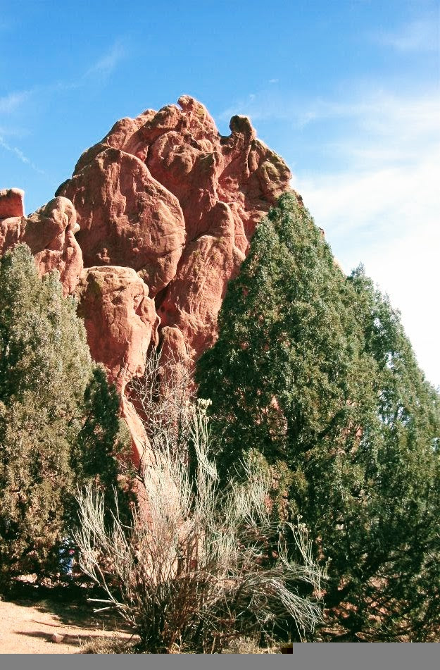 Desert photography
